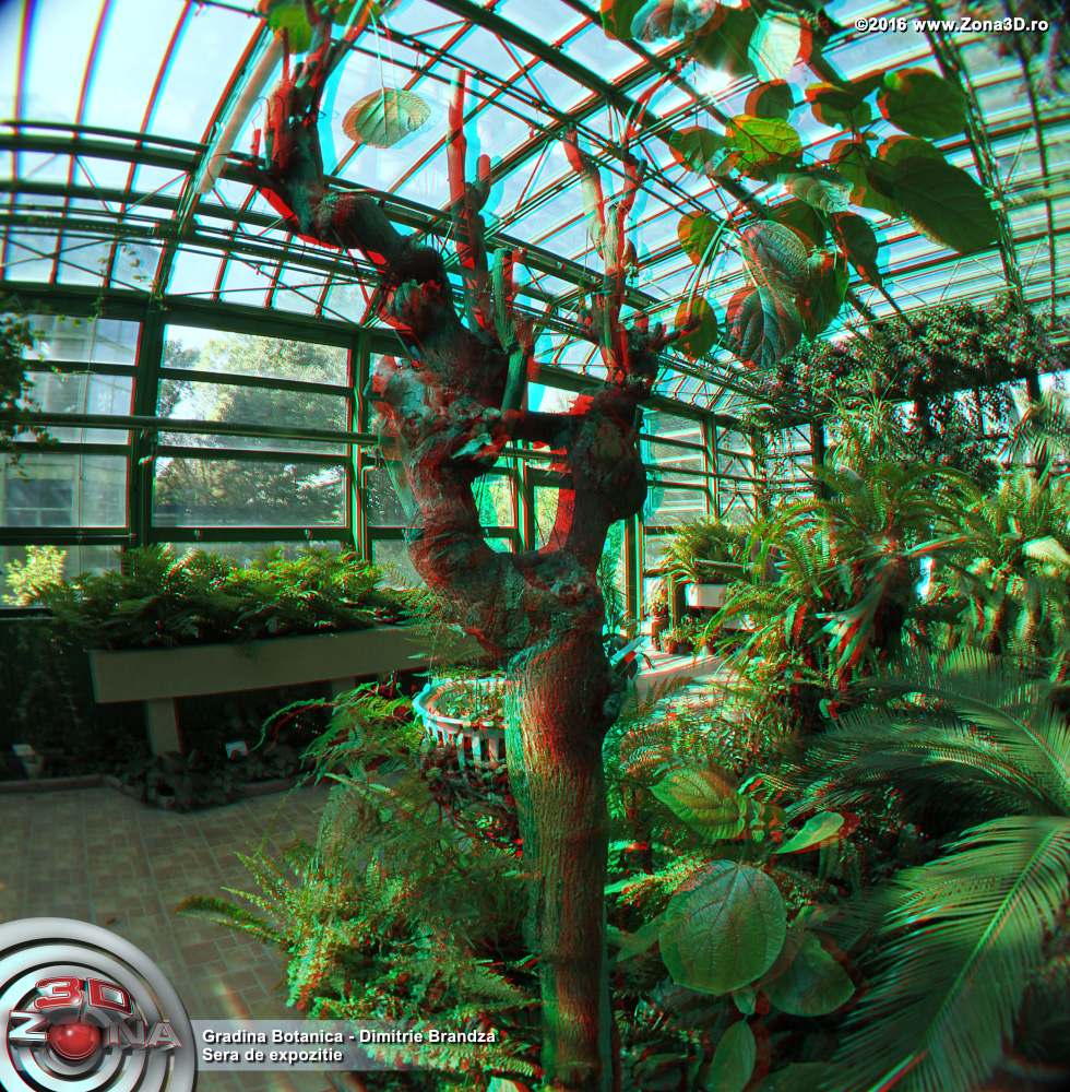 ZONA3D.ro