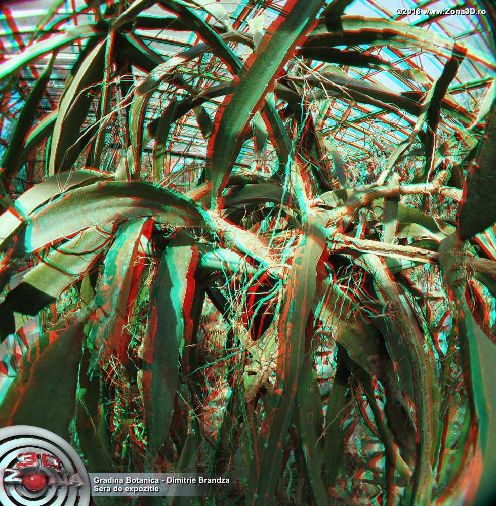 ZONA3D.ro