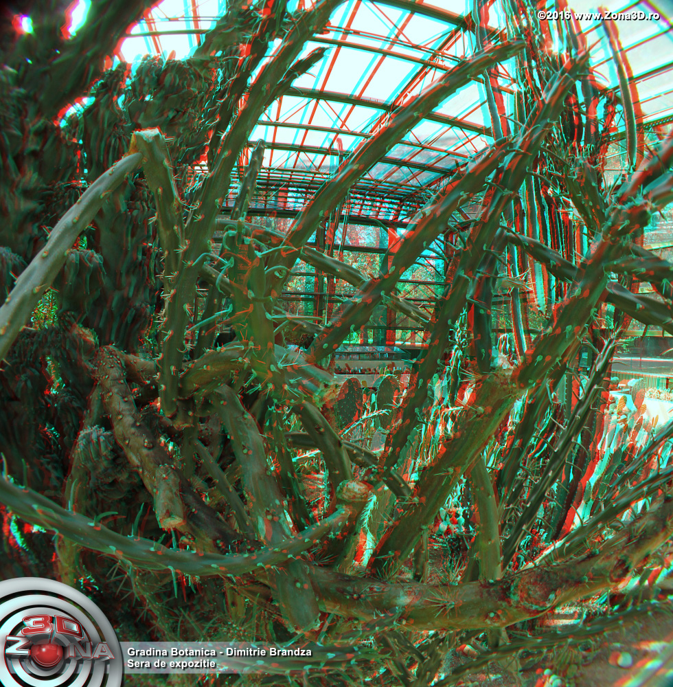 ZONA3D.ro