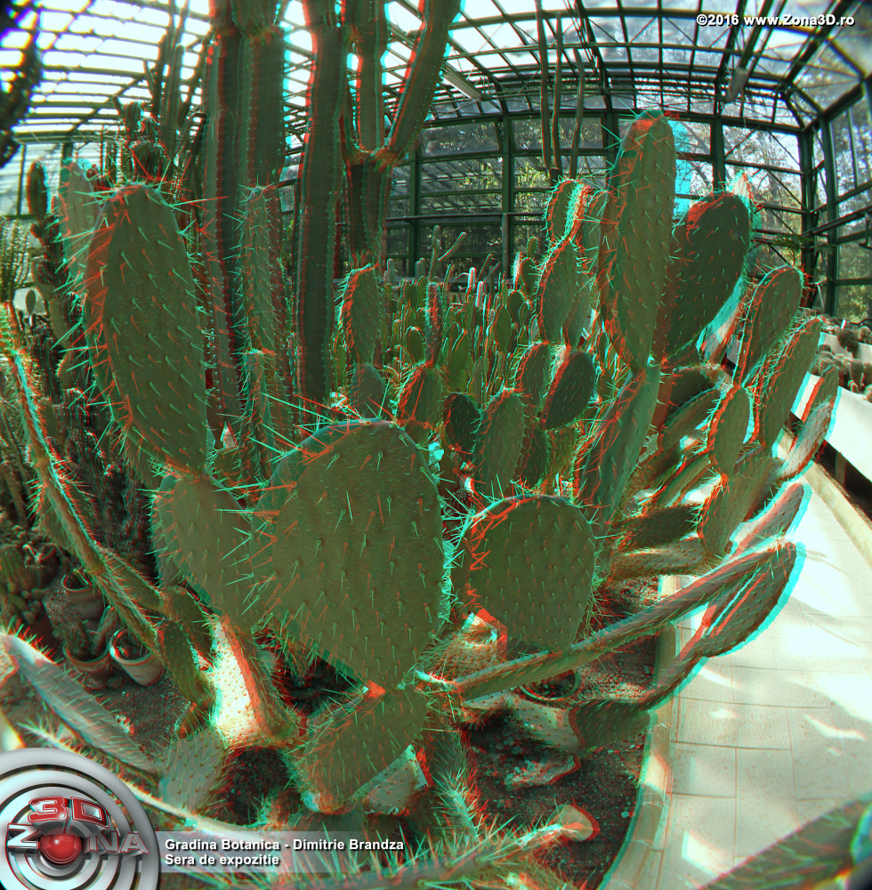 ZONA3D.ro