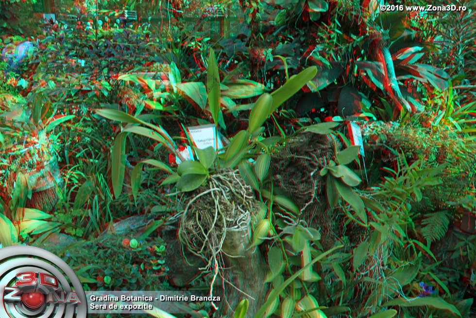 ZONA3D.ro
