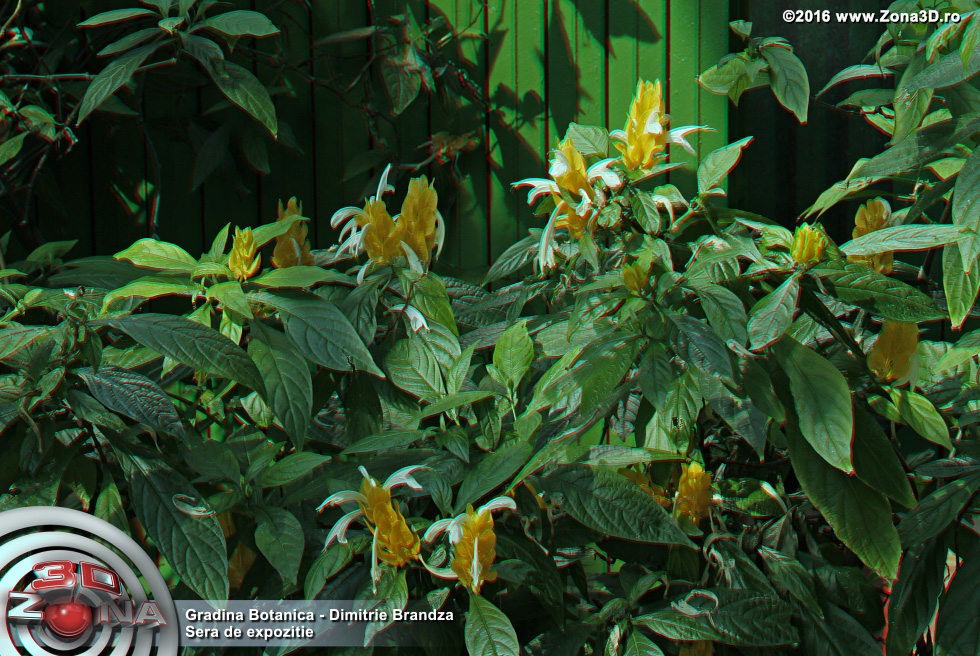 ZONA3D.ro