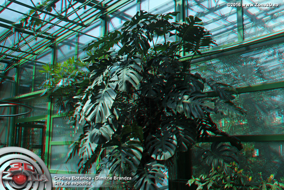 ZONA3D.ro