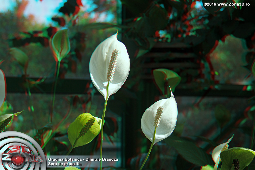ZONA3D.ro
