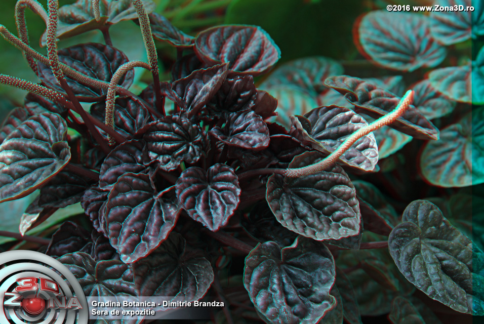 ZONA3D.ro
