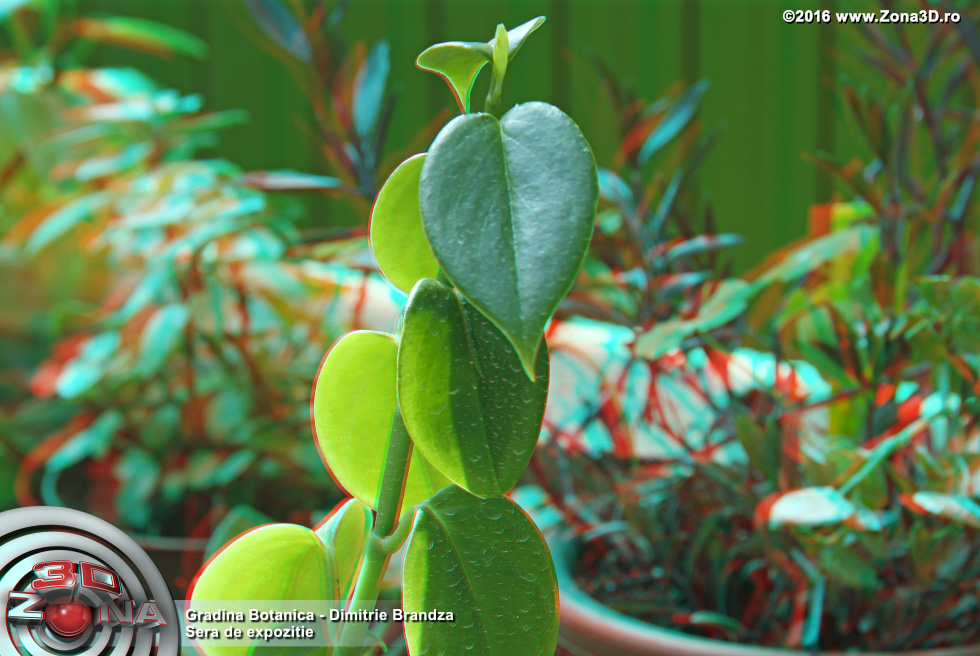 ZONA3D.ro