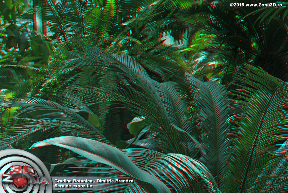 ZONA3D.ro