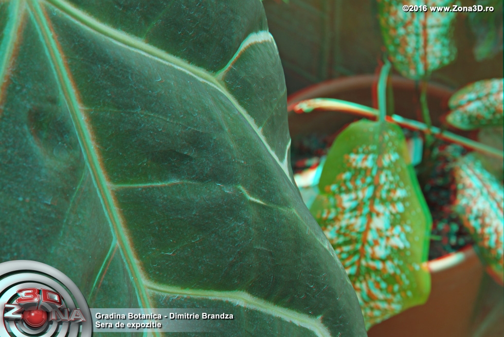 ZONA3D.ro