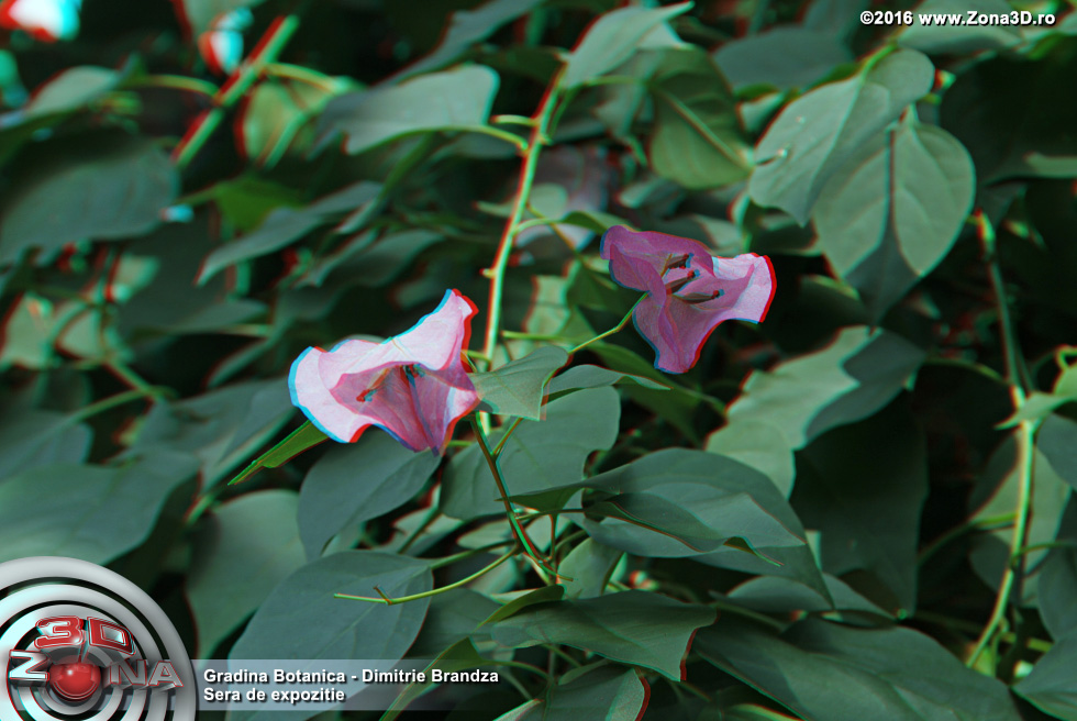 ZONA3D.ro
