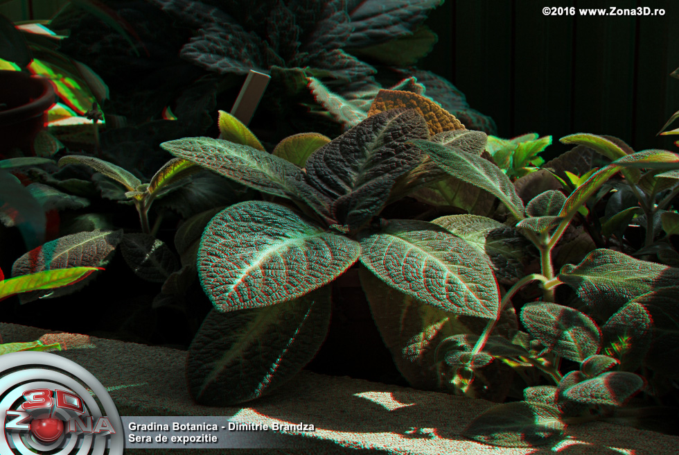 ZONA3D.ro