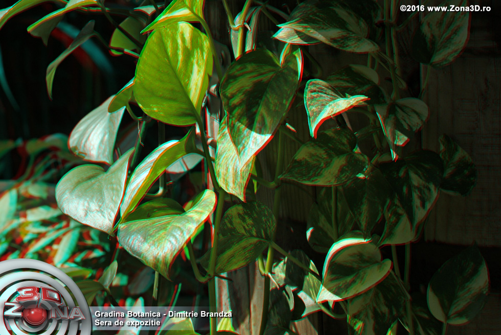 ZONA3D.ro