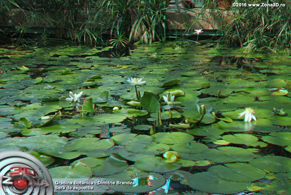 ZONA3D.ro