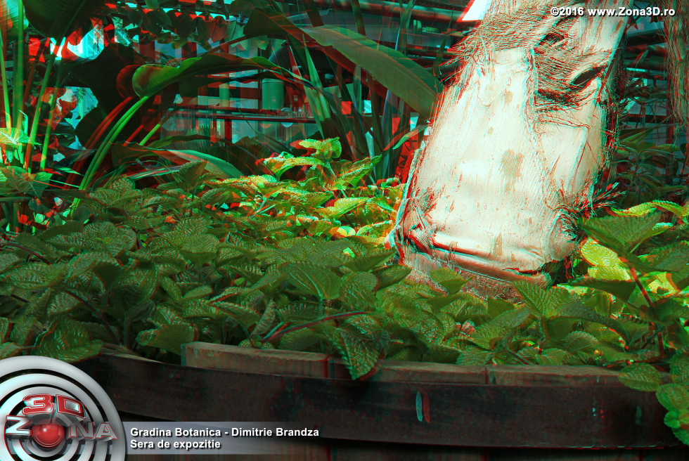 ZONA3D.ro