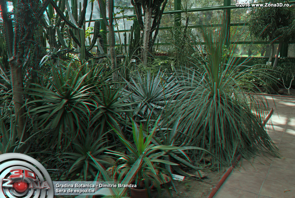 ZONA3D.ro