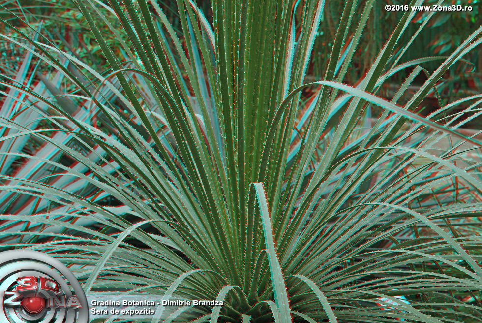 ZONA3D.ro