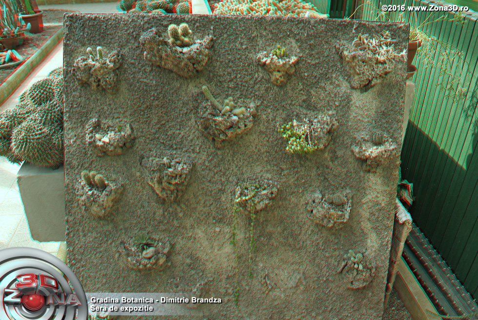 ZONA3D.ro