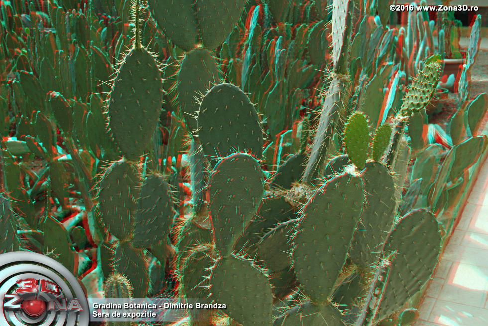 ZONA3D.ro