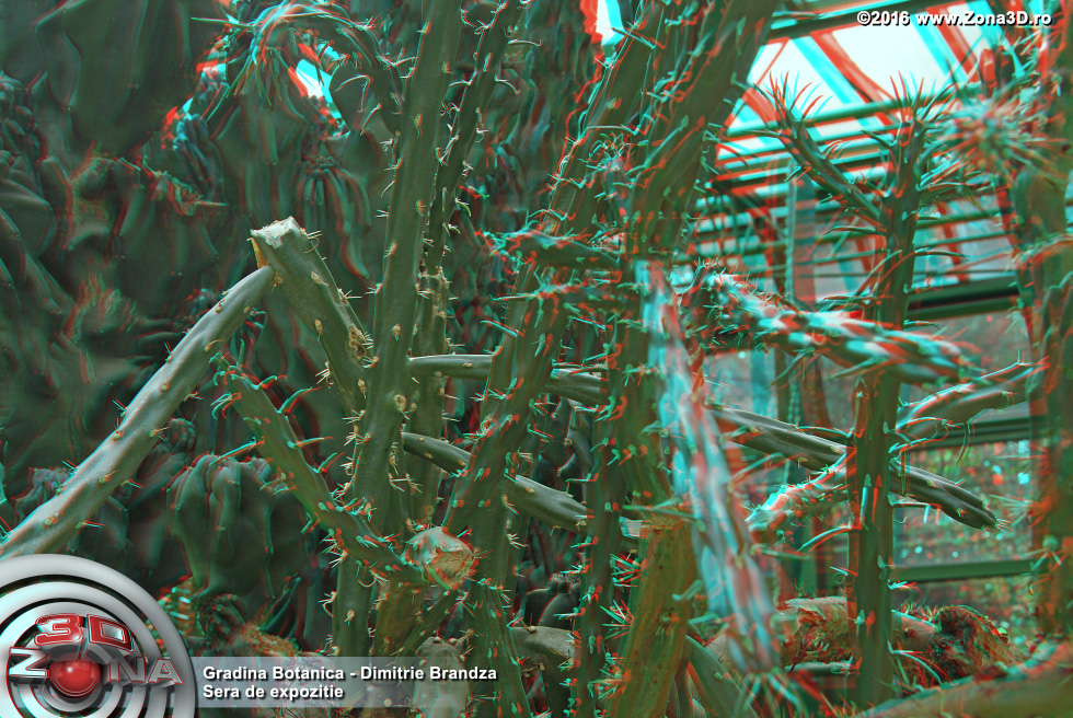 ZONA3D.ro