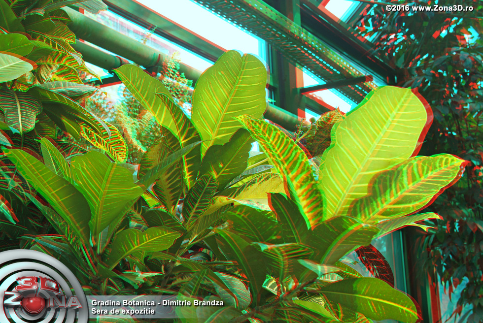 ZONA3D.ro