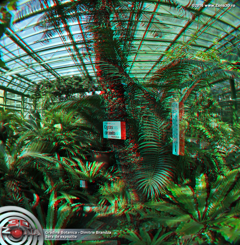 ZONA3D.ro