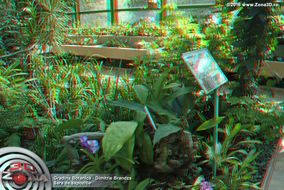 ZONA3D.ro