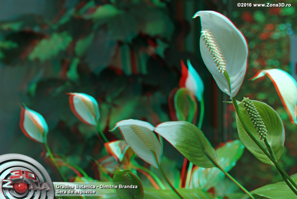 ZONA3D.ro