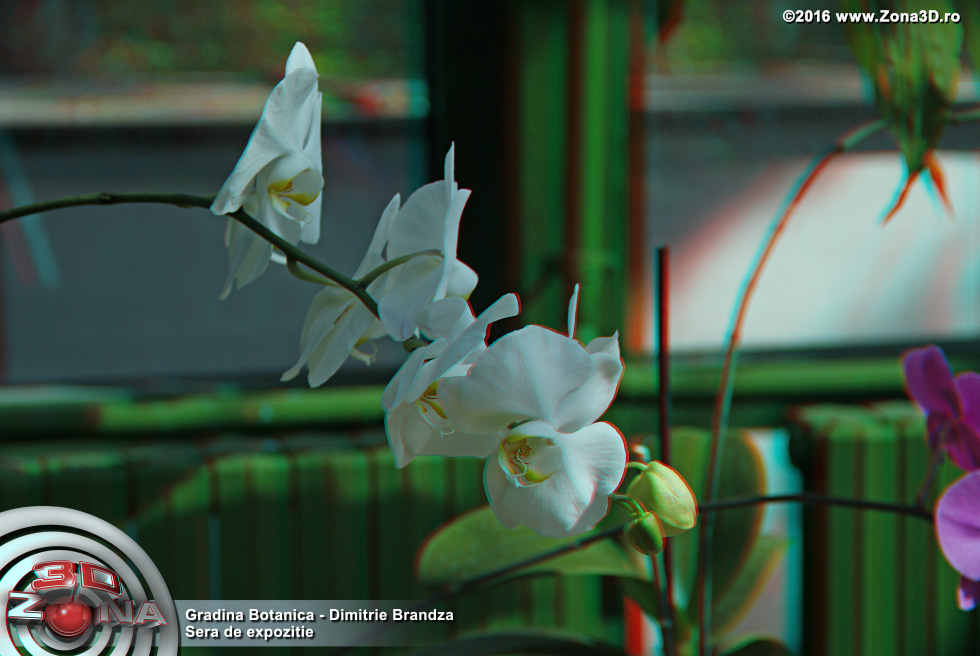 ZONA3D.ro
