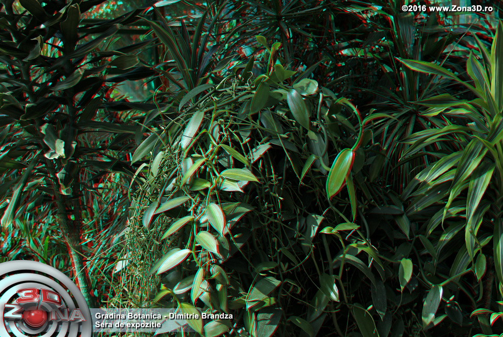 ZONA3D.ro