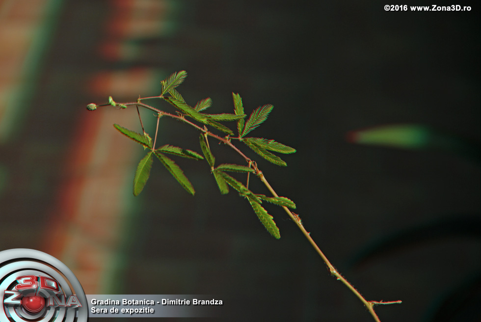 ZONA3D.ro