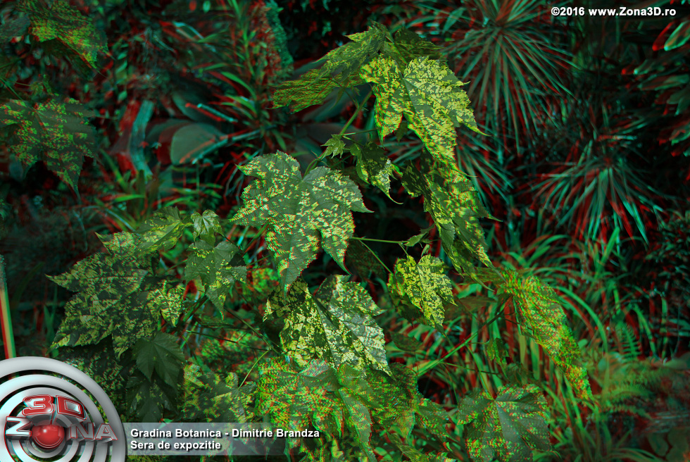 ZONA3D.ro