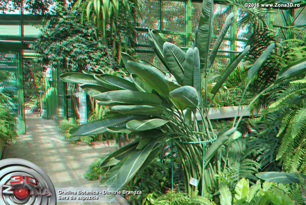 ZONA3D.ro