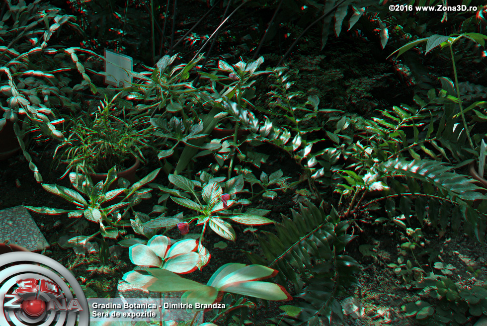 ZONA3D.ro