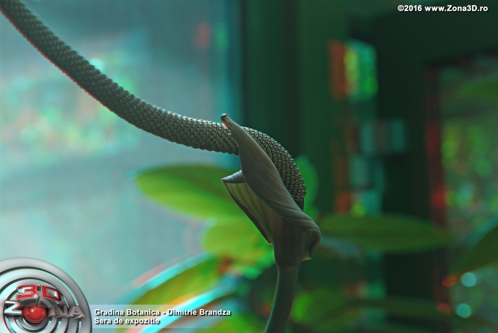 ZONA3D.ro