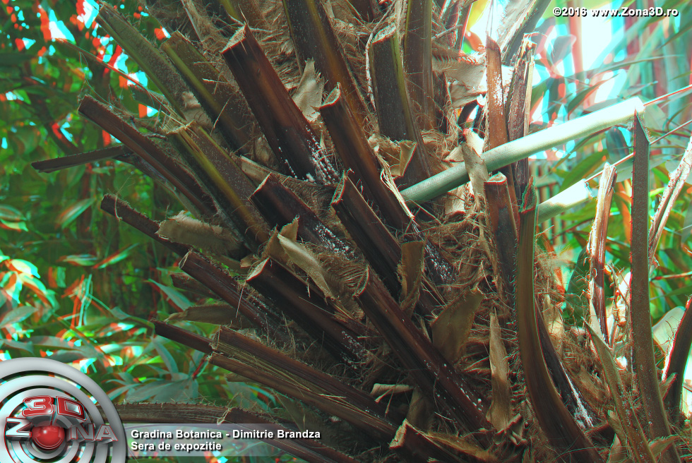ZONA3D.ro