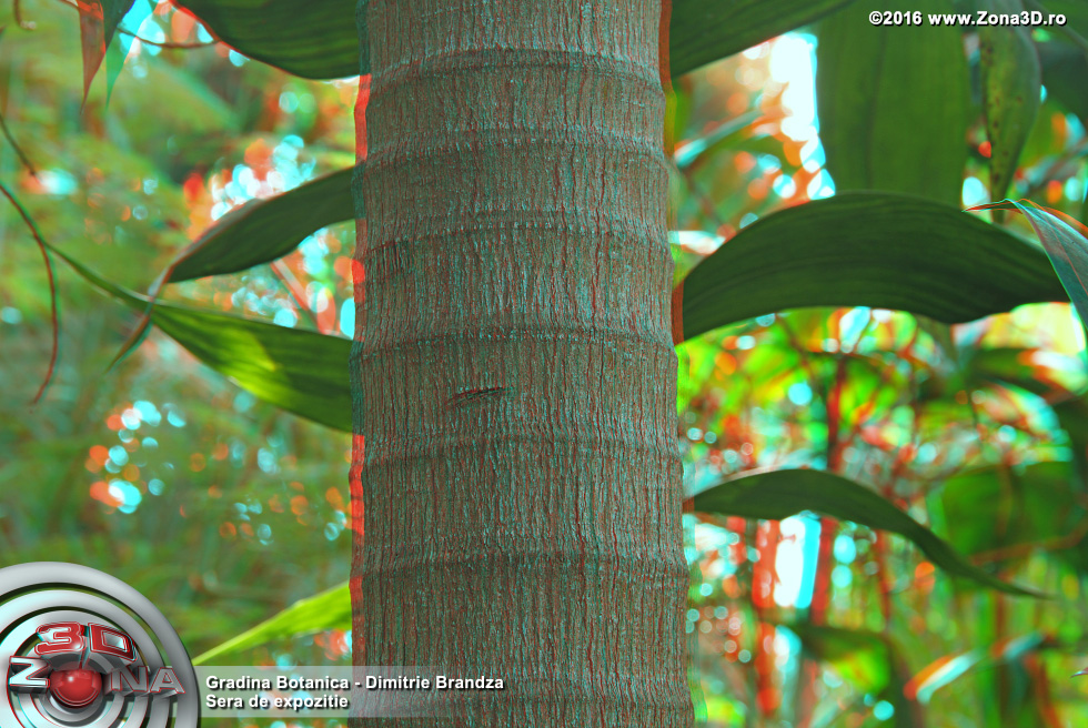 ZONA3D.ro