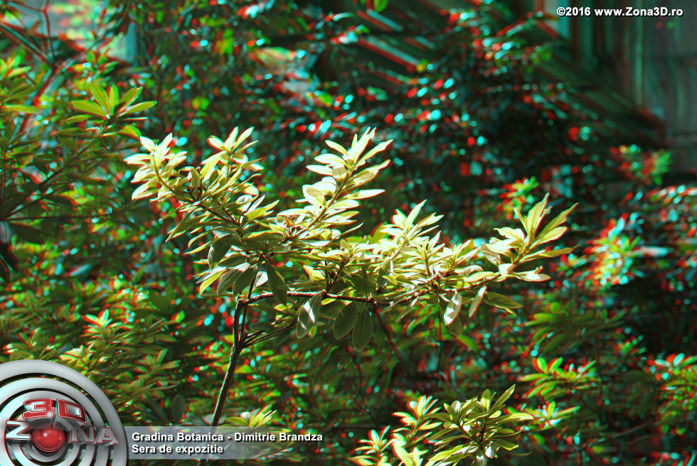ZONA3D.ro