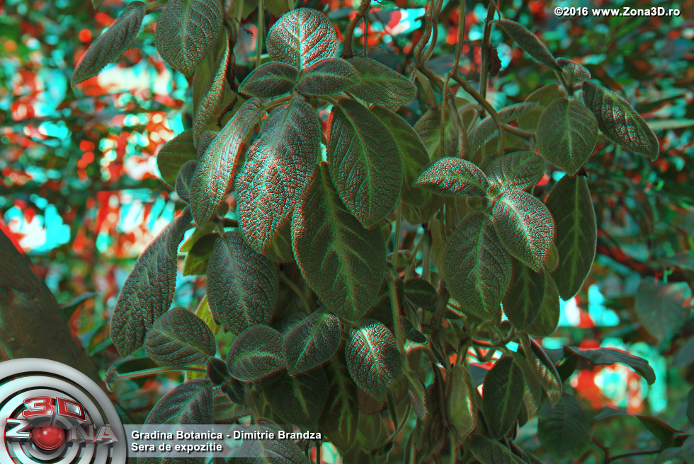 ZONA3D.ro