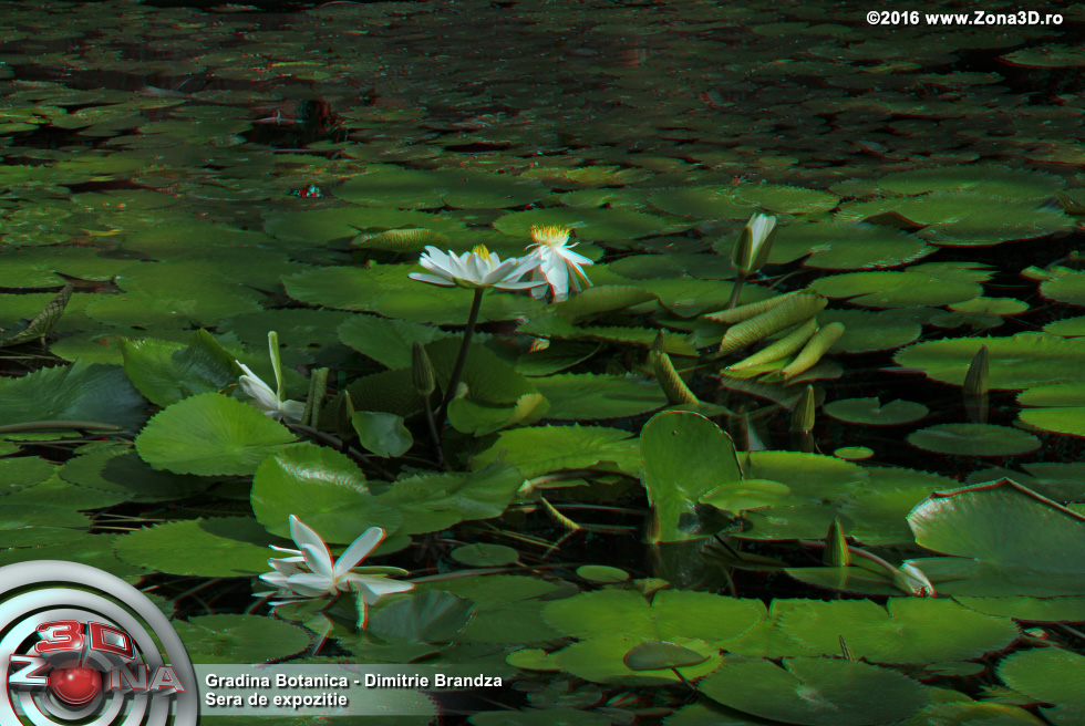 ZONA3D.ro