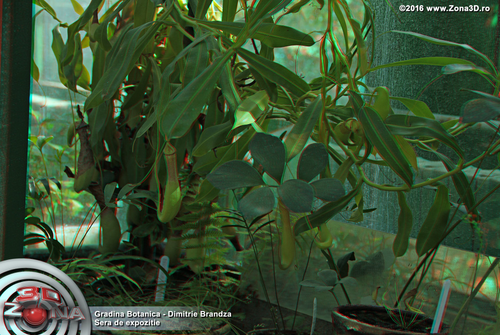 ZONA3D.ro
