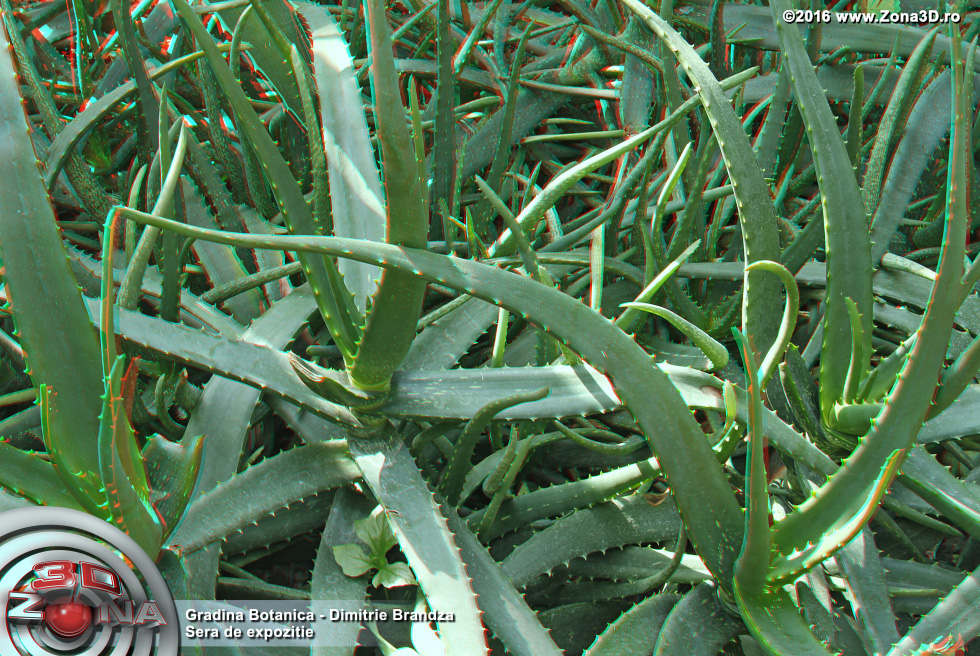 ZONA3D.ro