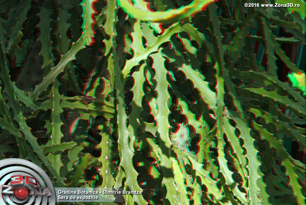 ZONA3D.ro