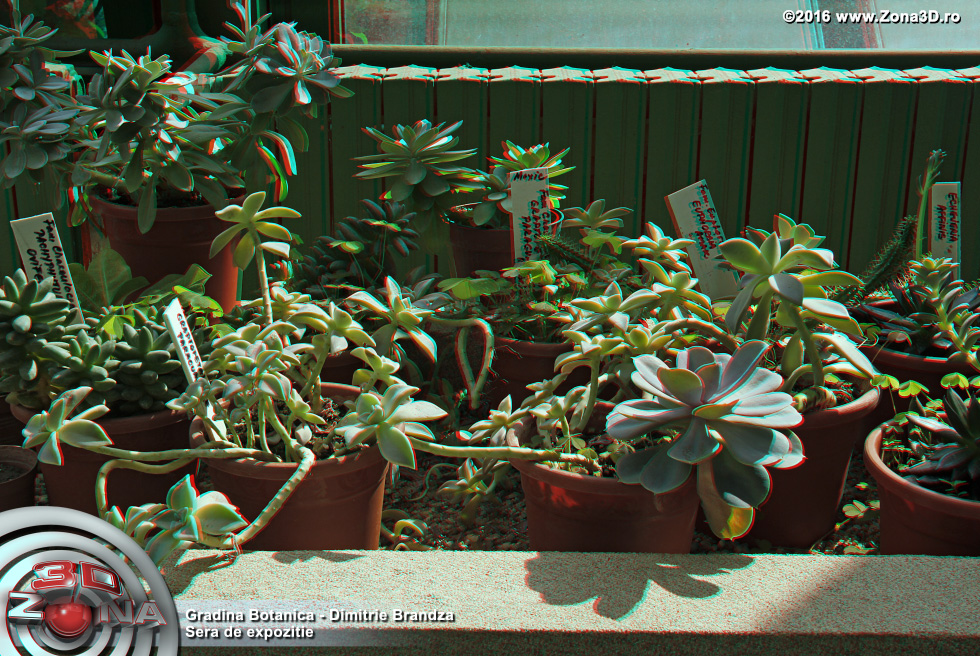 ZONA3D.ro