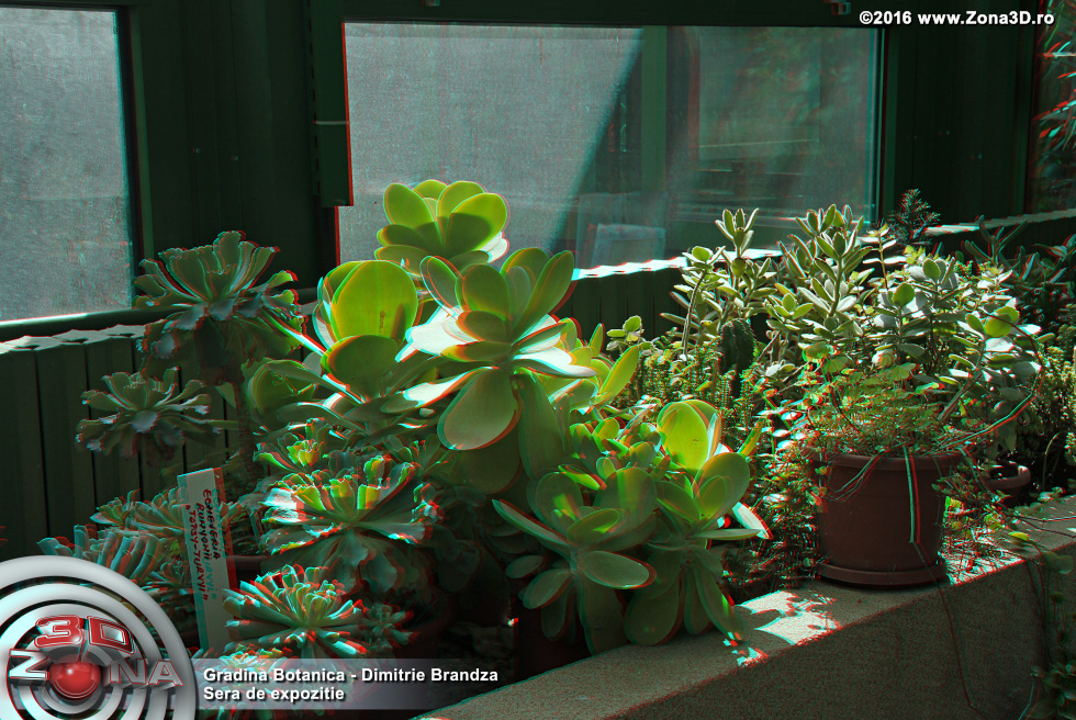 ZONA3D.ro