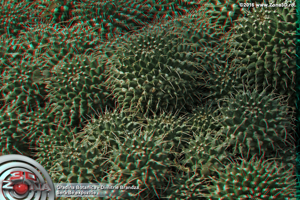 ZONA3D.ro