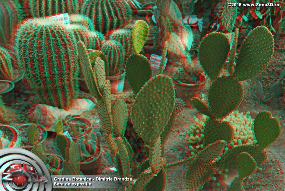 ZONA3D.ro