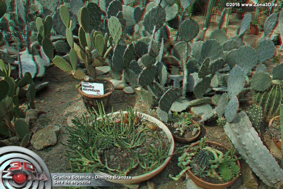 ZONA3D.ro