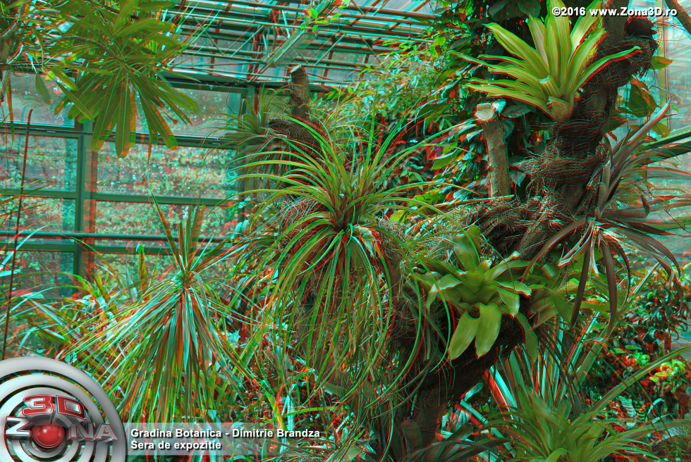 ZONA3D.ro