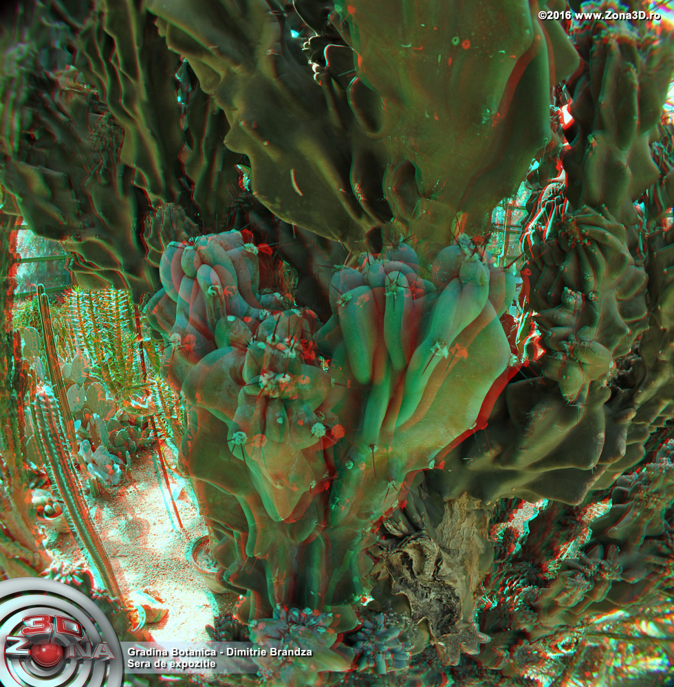 ZONA3D.ro