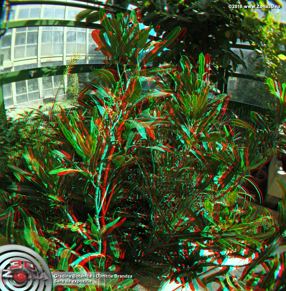 ZONA3D.ro