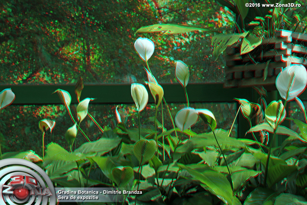 ZONA3D.ro